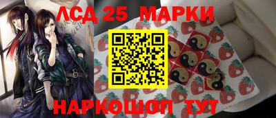 сатива Аргун