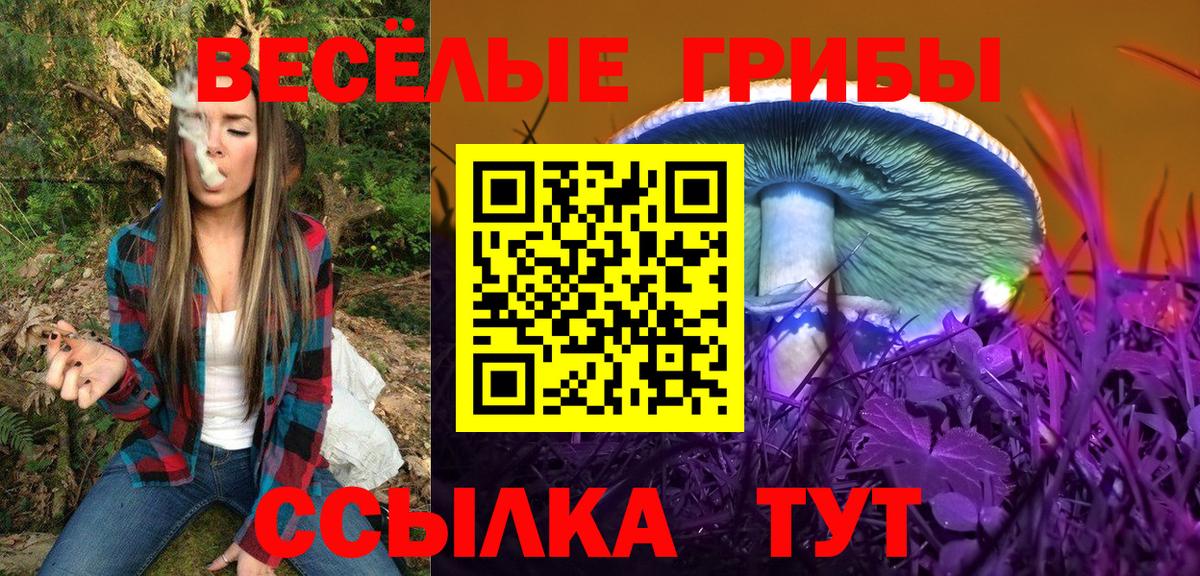 Воркута  Галлюциногенные грибы Psilocybine cubensis  Вход с VPN  Псилоцибиновые грибы Psilocybine cubensis 