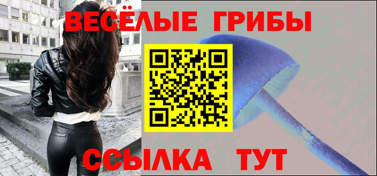 Галлюциногенные грибы Psilocybine cubensis Воркута